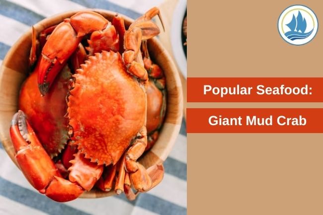 Why Giant Mud Crab is a Popular Seafood in Various Dishes
